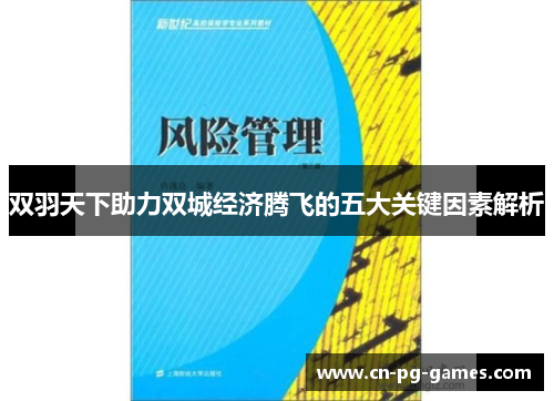 双羽天下助力双城经济腾飞的五大关键因素解析