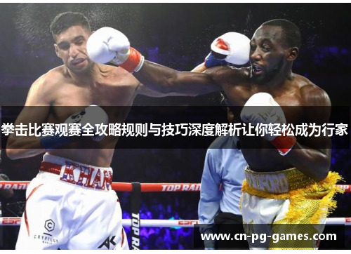 拳击比赛观赛全攻略规则与技巧深度解析让你轻松成为行家